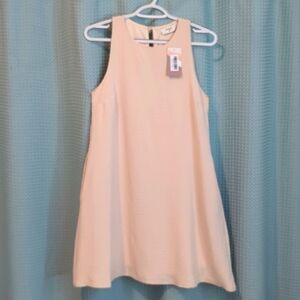 NWT XSP Beige A line shift dress with pockets!